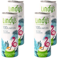 Lindy's 100%原味椰子水 天然無添加 清涼解渴 補充水分, 310ml, 4罐