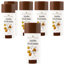 보타니컬테라피 호호바 스틱밤, 6개, 15g