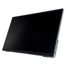 WInTEn 15.6" 可攜式觸控 顯示器 IPS FHD 16:9 銀灰色 WT-156AT-BK