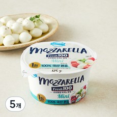 덴마크 후레쉬모짜 미니, 125g, 1개입, 5개