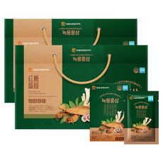 대웅생명과학 녹용 홍삼, 2.1L, 2개