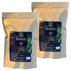 해밀생활건강 100일동안 라벤더차 삼각티백, 1.2g, 100개입, 2개