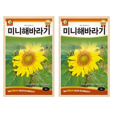 다농 미니 해바라기 씨앗 2g, 2개