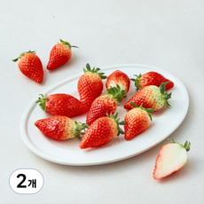 곰곰 국내산 딸기, 500g(대과), 2팩