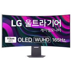 LG전자 WUHD 울트라기어 게이밍 커브드 모니터 방문설치, 113cm, 45GX950A