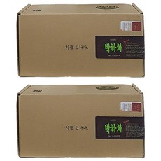 아이앤티 박하차, 1g, 50개입, 2개