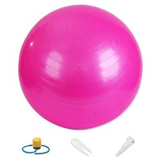 퍼스트피트 필라테스 요가 짐볼 + 펌프, 핑크(짐볼)