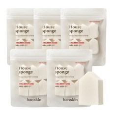 Hanskin 房屋海綿 6入, 單一顏色, 5個