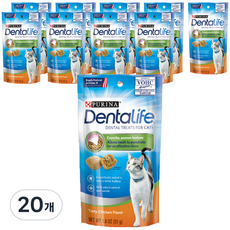 퓨리나덴탈라이프 캣 트릿 고양이 간식, 닭고기맛, 51g, 20개