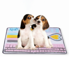 Dickie Poppet Veronica Nosework 毯子 70 x 70cm, 混色, 1個