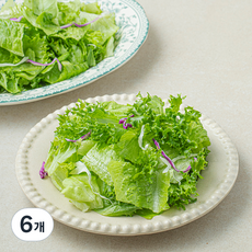 샐러팜 패밀리 샐러드, 350g, 6개