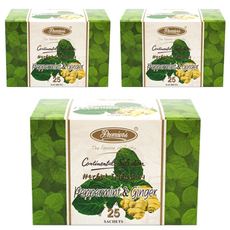 프리미어스티 종이티백 페퍼민트&진저 허브차, 1.5g, 25개입, 3개