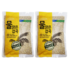물맑은양평 청운농협 늘보리, 1kg, 2개