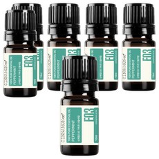 시나몬이오 아로마 에센셜 오일 E03, 페퍼민트, 10ml, 6개