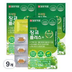 일양약품 프라임 징코 플러스, 30정, 9개
