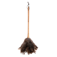 NATURE LIVING 鴕鳥羽毛除塵撢子 木柄, 棕色, 1支
