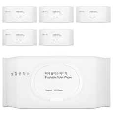 Saengong 生活工作所 掀蓋濕式衛生紙, 100張, 6包