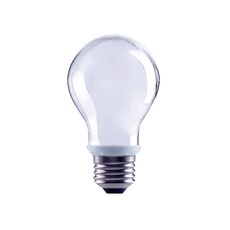 Luxtek 樂施達客 LED燈泡 A19F 6W E27 F65 33g, 冷白光, 1個