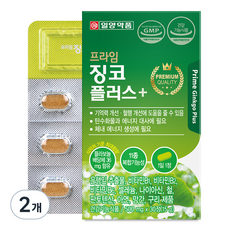 일양약품 프라임 징코 플러스 15g, 30정, 2개