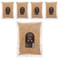 월드그린 싱싱 귀리, 800g, 5개