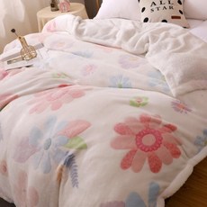 超細纖維法蘭絨毛毯