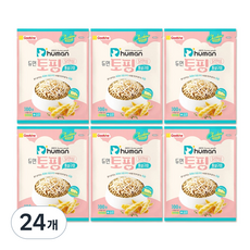 듀먼 전연령용 강아지 토핑 통살구이 생식 사료, 닭, 100g, 24개