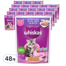 위스카스 주니어 고양이 주식파우치, 80g, 48개, 주니어 고등어