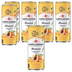 SANPELLEGRINO 聖沛黎洛 氣泡水果飲料 柑橘白桃口味, 330ml, 6個