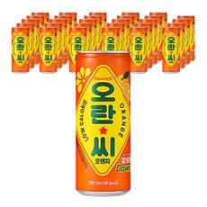 오란씨 오렌지 탄산음료, 30개, 250ml 30개, 250ml