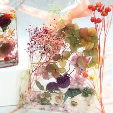 A-ONE 浮游花DIY花材包,彩色,浪漫金彩,天然乾燥花材,DIY花藝