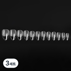 비앙티노 인조 네일 팁 투명 반무광 풀커버 240p 세트 25BRS288, 3세트, No4