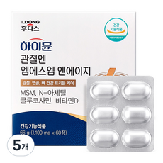일동후디스 하이뮨 관절엔 엠에스엠 엔에이지 66g, 60정, 5개