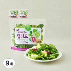 그린래빗 자연을 닮은 샐러드 실속B, 100g, 9개