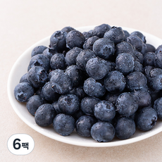곰곰 친환경 블루베리 왕특, 100g, 6팩
