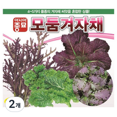아시아종묘 씨앗 모둠겨자채 2000립, 2개