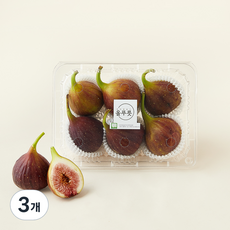 올푸릇 유기농 인증 함평 무화과 6~9입, 500g, 3개