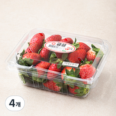 진주드림 금실 딸기 중과, 500g, 4개