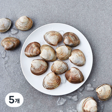 곰곰 백합조개 (냉장), 5개, 500g