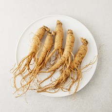 금산 인삼, 150g, 1개