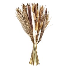 Goyo 乾燥花 CH-041 220g, 杏色