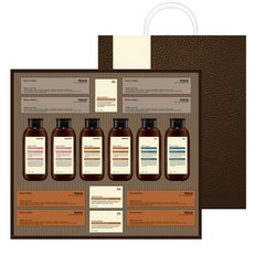 LG생활건강 프리미엄 모던에디션 스페셜 선물세트 B3 + 쇼핑백, 1세트