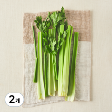 친환경 컷팅 셀러리, 300g, 2개