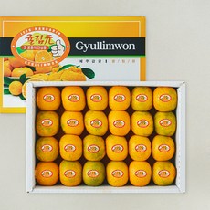 귤림원 GAP 인증 당도선별 감귤, 1.5kg(로얄과), 1개