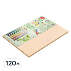 종이문화 뉴씨플레인 양면색상지 120g A4 No 21 살구색, 120개