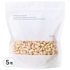 솔닙 구운 캐슈넛, 450g, 5개