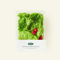 프리미엄 무농약 래디쉬 가든 믹스, 150g, 1개입, 1개