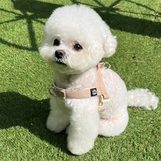 멍템 강아지 앞섬방지 팔레트 하네스, 파스텔 베이지, 1개