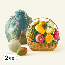 온브릭스 프리미엄 과일바구니 9종 대형 1호 + 보자기, 6.26kg, 2세트