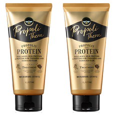 엘라스틴 프로폴리테라 손상 모발용 헤어트리트먼트, 300ml, 2개