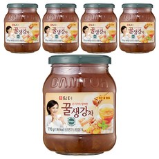 담터 꿀생강차, 770g, 1개입, 5개